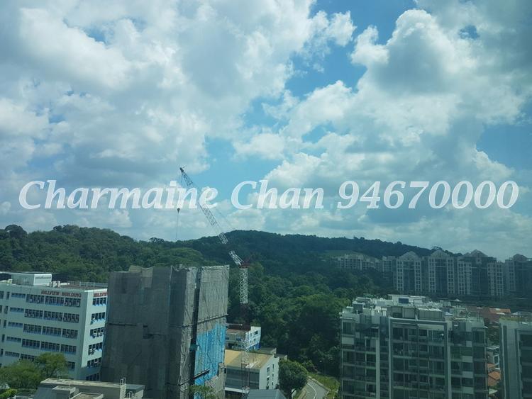 Hillview Regency (D23), Condominium #148569262